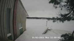 192.168.2.196_01_20260216110000890_TIMING.jpg
