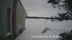 192.168.2.196_01_20260216150000755_TIMING.jpg