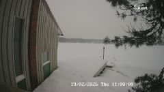 192.168.2.196_01_20260219110000770_TIMING.jpg