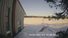 192.168.2.196_01_20260220110000102_TIMING.jpg