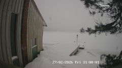 192.168.2.196_01_20260227110000708_TIMING.jpg
