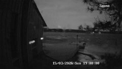 192.168.2.196_01_20260315190000131_TIMING.jpg