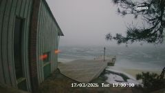192.168.2.196_01_20260317190000496_TIMING.jpg