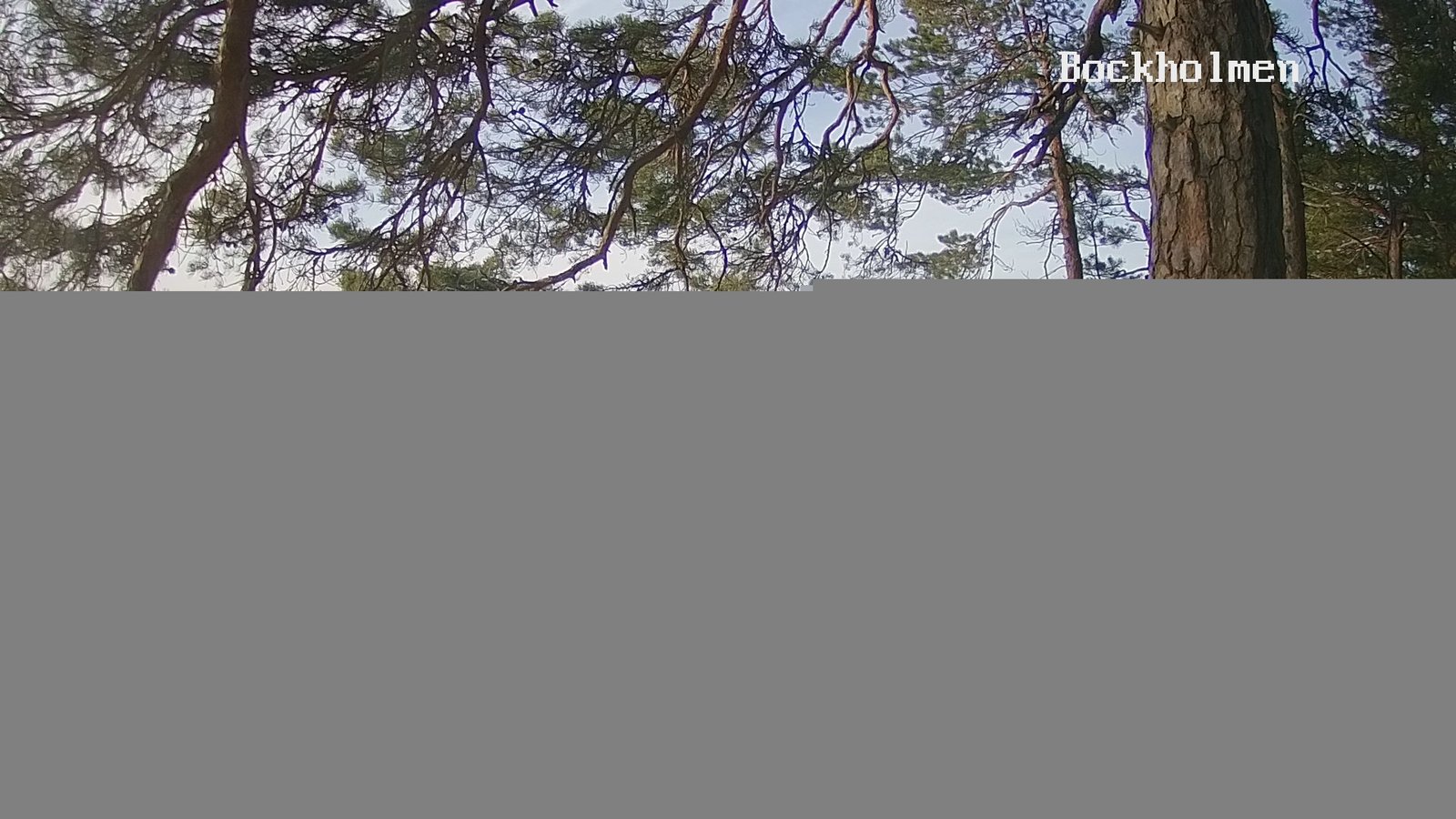 192.168.2.226_01_20180423190001830_TIMING