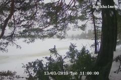 192.168.2.226_01_20180313110000230_TIMING