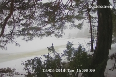 192.168.2.226_01_20180313150000279_TIMING