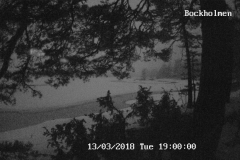 192.168.2.226_01_20180313190000604_TIMING