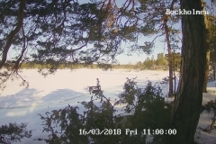 192.168.2.226_01_20180316110000765_TIMING