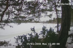 192.168.2.226_01_20180319110000732_TIMING