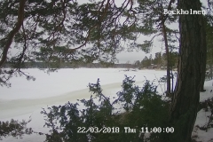 192.168.2.226_01_20180322110000405_TIMING