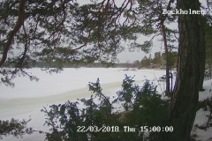 192.168.2.226_01_20180322150000214_TIMING