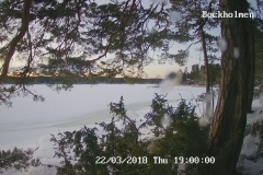 192.168.2.226_01_20180322190000864_TIMING