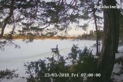 192.168.2.226_01_20180323070000840_TIMING