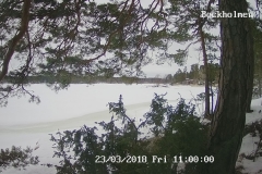 192.168.2.226_01_20180323110000926_TIMING