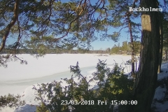 192.168.2.226_01_20180323150000812_TIMING