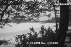 192.168.2.226_01_20180325070000101_TIMING