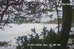 192.168.2.226_01_20180325110000618_TIMING