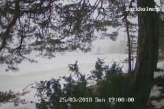 192.168.2.226_01_20180325190000057_TIMING