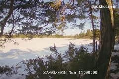 192.168.2.226_01_20180327110000839_TIMING