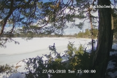 192.168.2.226_01_20180327150000343_TIMING