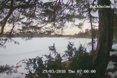 192.168.2.226_01_20180329070000823_TIMING