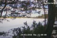 192.168.2.226_01_20180329110000504_TIMING