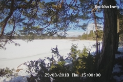 192.168.2.226_01_20180329150000381_TIMING