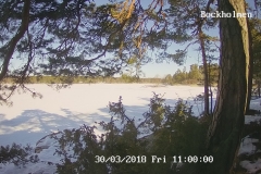 192.168.2.226_01_20180330110000285_TIMING