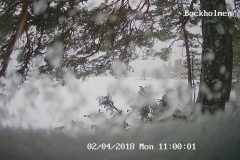 192.168.2.226_01_20180402110000355_TIMING