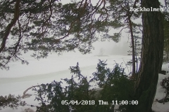 192.168.2.226_01_20180405110000330_TIMING