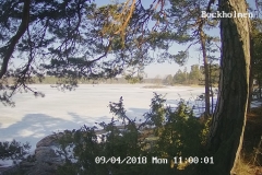 192.168.2.226_01_20180409110000768_TIMING