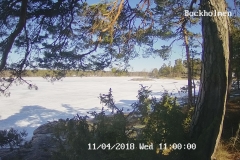 192.168.2.226_01_20180411110000945_TIMING