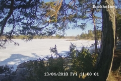 192.168.2.226_01_20180413110000396_TIMING