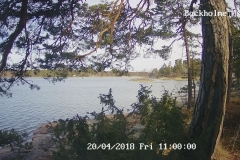192.168.2.226_01_20180420110000691_TIMING