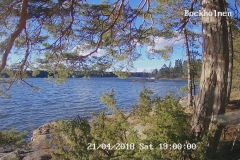 192.168.2.226_01_20180421190000581_TIMING