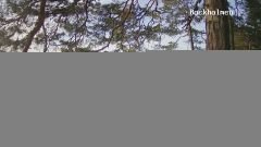 192.168.2.226_01_20180423190001830_TIMING