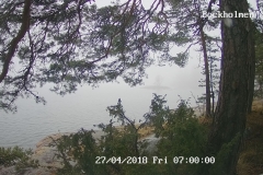 192.168.2.226_01_20180427070000449_TIMING