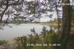 192.168.2.226_01_20180503150000814_TIMING