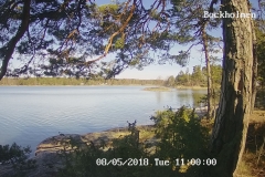 192.168.2.226_01_20180508110000985_TIMING