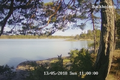 192.168.2.226_01_20180513110000349_TIMING