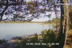 192.168.2.226_01_20180514110000789_TIMING