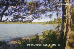 192.168.2.226_01_20180519110000753_TIMING