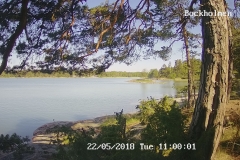 192.168.2.226_01_20180522110000655_TIMING