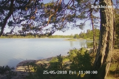 192.168.2.226_01_20180525110000456_TIMING