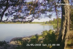 192.168.2.226_01_20180526110000624_TIMING