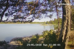 192.168.2.226_01_20180529110000175_TIMING