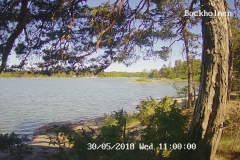 192.168.2.226_01_20180530110000602_TIMING