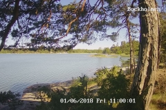 192.168.2.226_01_20180601110000725_TIMING