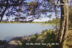 192.168.2.226_01_20180603110000118_TIMING