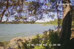 192.168.2.226_01_20180604150000429_TIMING